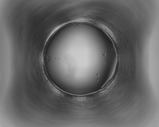 X0000116381428200912091405