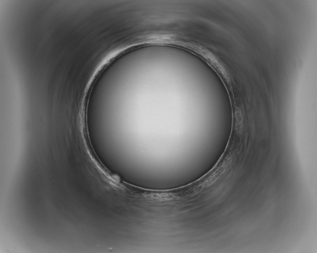 X0000116381432200912091405