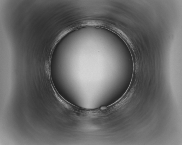 X0000116381433200912091406
