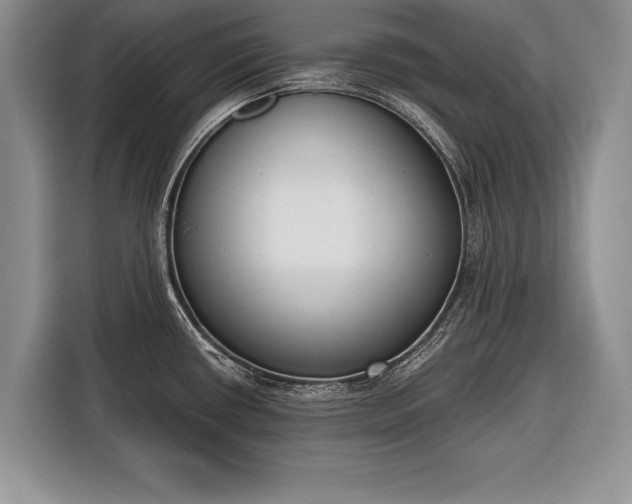 X0000116381434200912091406