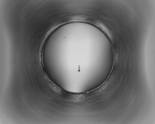 X0000116381435200912091406