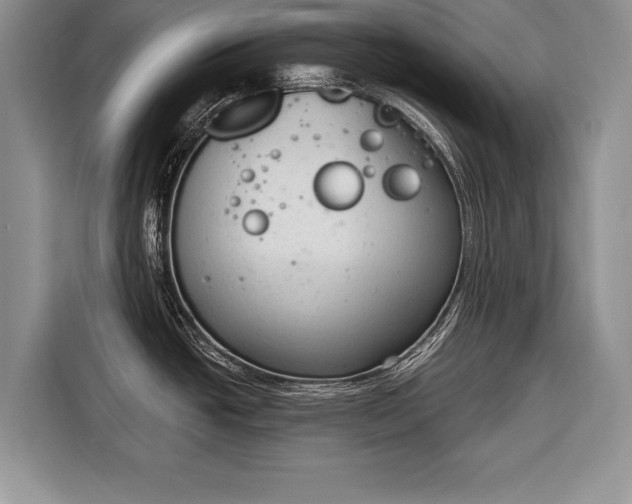X0000116381438200912091406