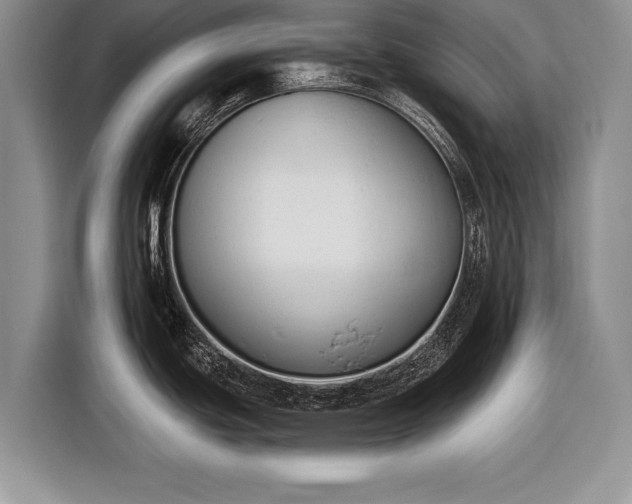 X0000116381439200912091406