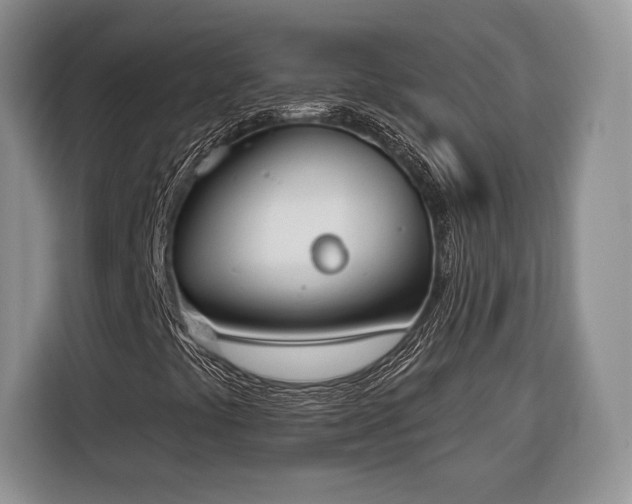 X0000116381441200912091405