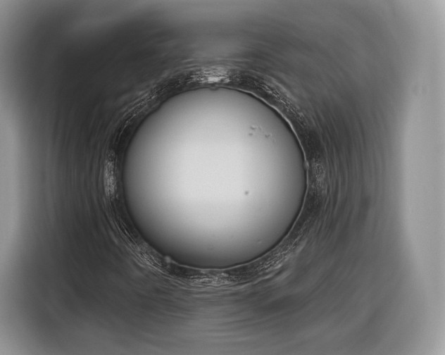 X0000116381442200912091405