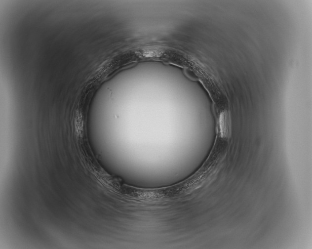 X0000116381443200912091405