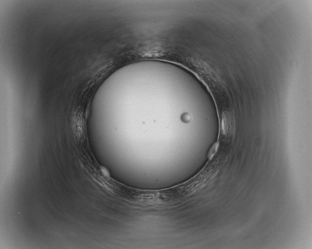 X0000116381444200912091405