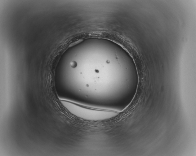 X0000116381445200912091405