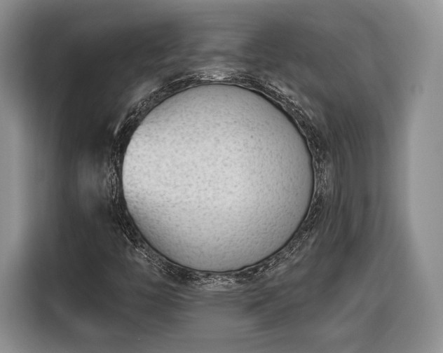 X0000116381446200912091405