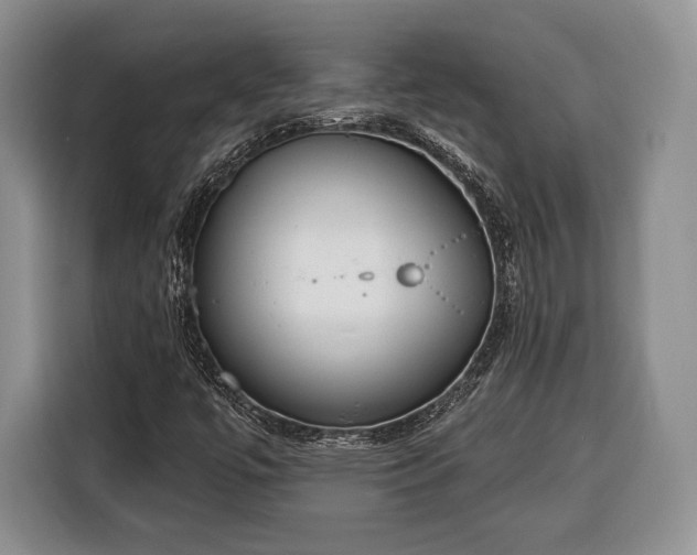 X0000116381447200912091405