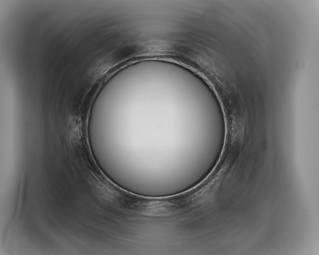X0000116381449200912091405