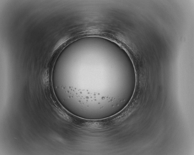 X0000116381450200912091405
