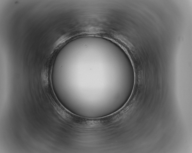 X0000116381451200912091405