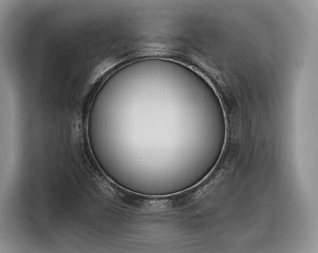 X0000116381453200912091405