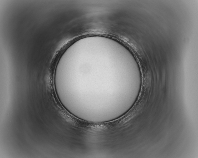 X0000116381454200912091405
