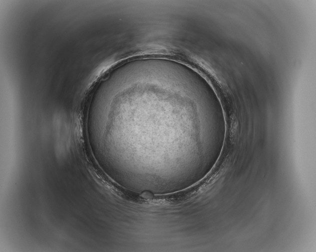 X0000116381455200912091405