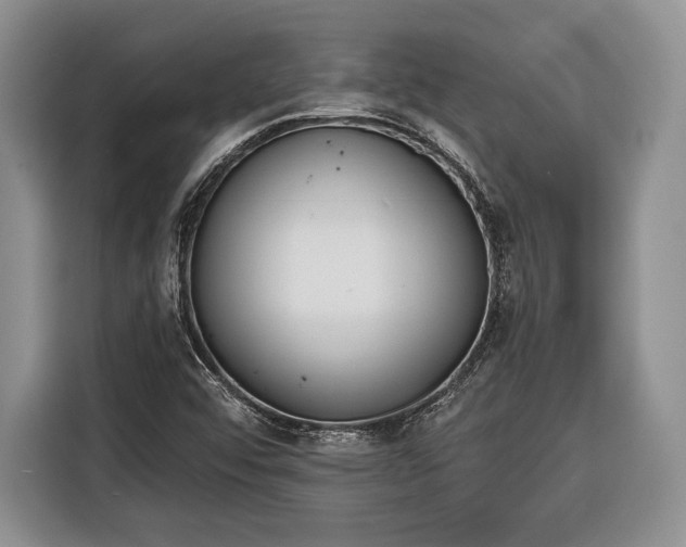 X0000116381456200912091405
