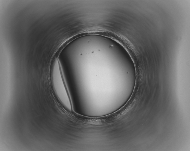 X0000116381457200912091405