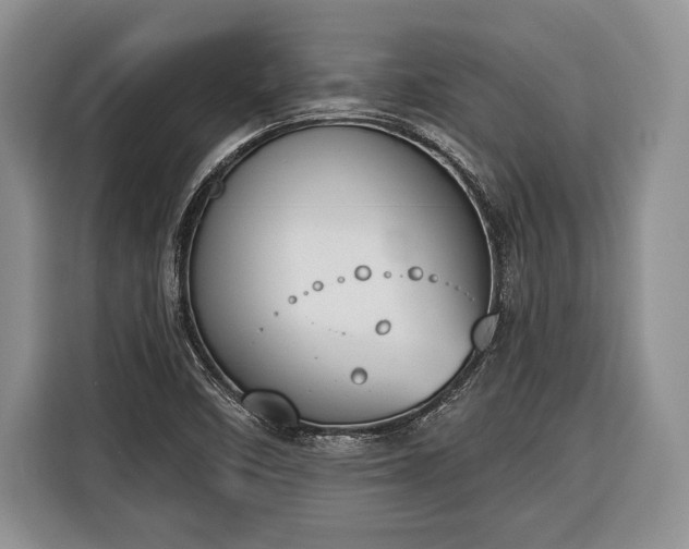 X0000116381458200912091405