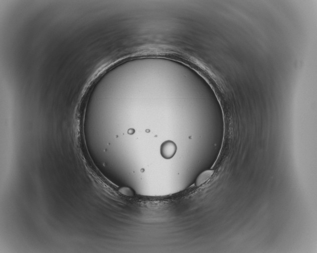X0000116381459200912091405