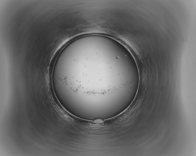 X0000116381460200912091405