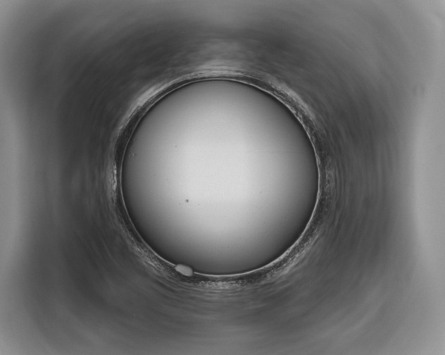 X0000116381461200912091405