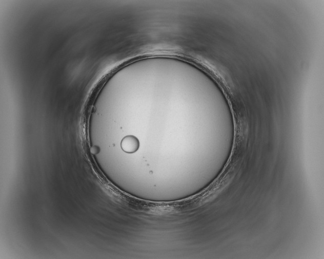 X0000116381462200912091405