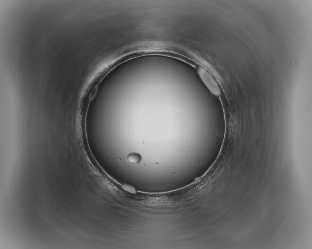X0000116381464200912091405