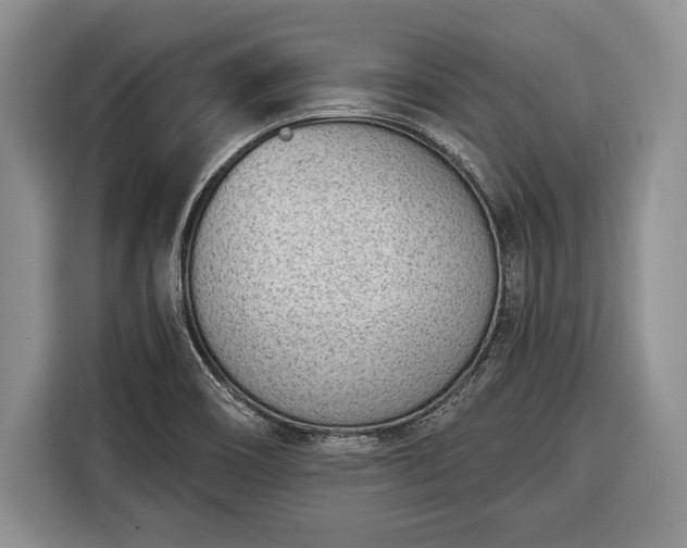 X0000116381466200912091405