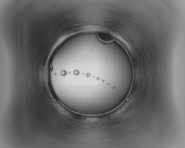 X0000116381467200912091405