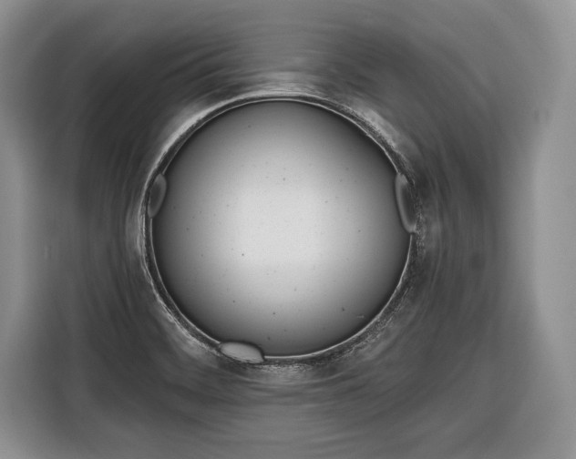 X0000116381468200912091405