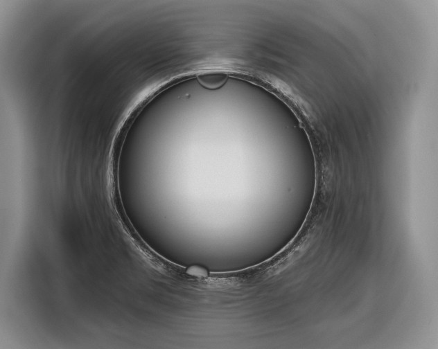 X0000116381469200912091405