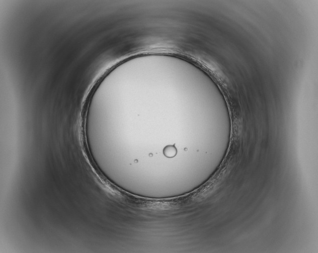 X0000116381470200912091405