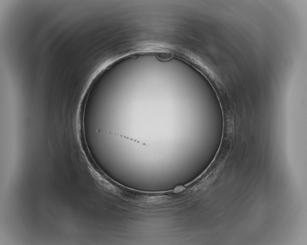 X0000116381471200912091404