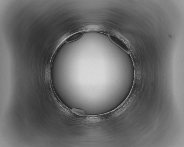 X0000116381473200912091404