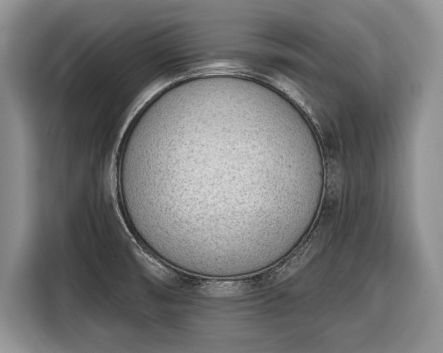 X0000116381474200912091404