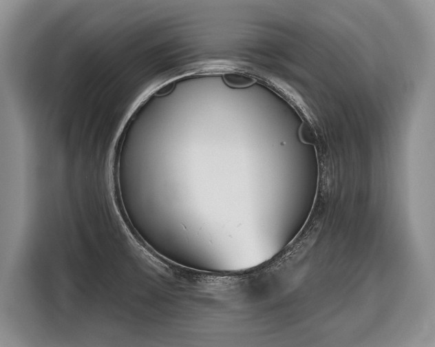 X0000116381475200912091404