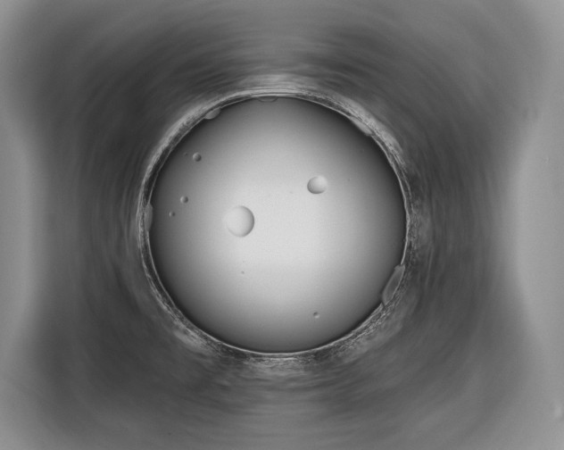 X0000116381477200912091404