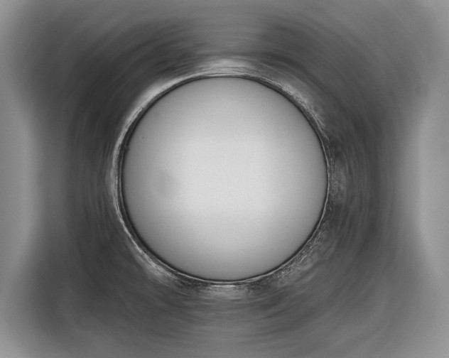 X0000116381478200912091404
