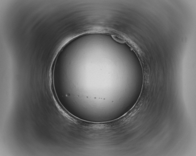 X0000116381479200912091404