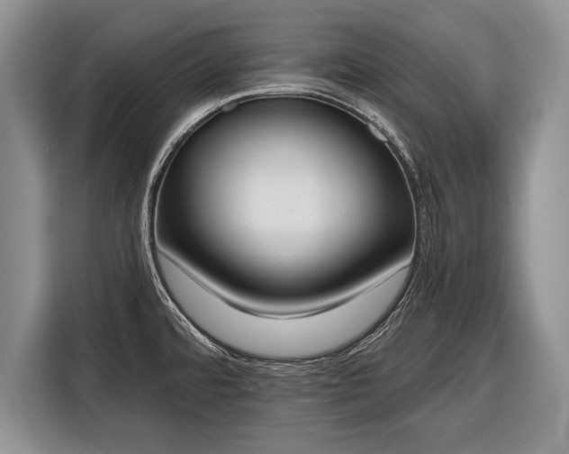 X0000116381480200912091404
