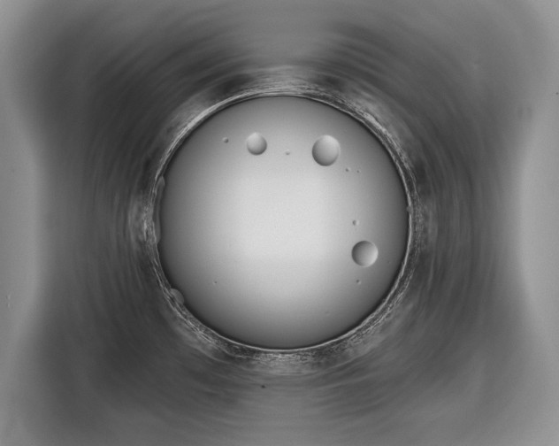 X0000116381481200912091404