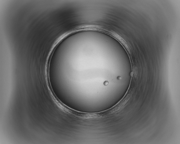 X0000116381482200912091404