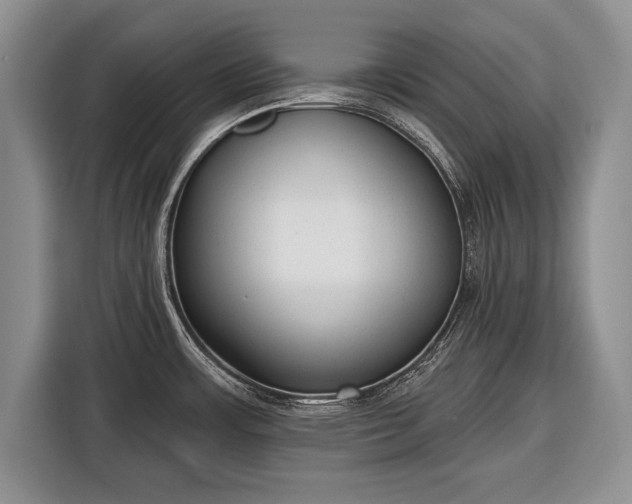 X0000116381483200912091404