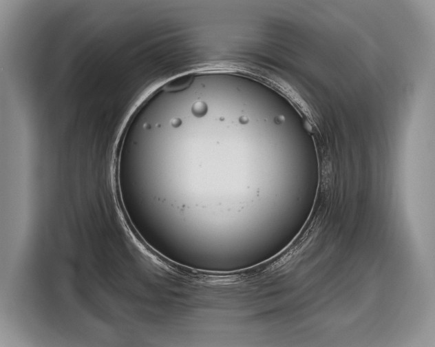 X0000116381484200912091404