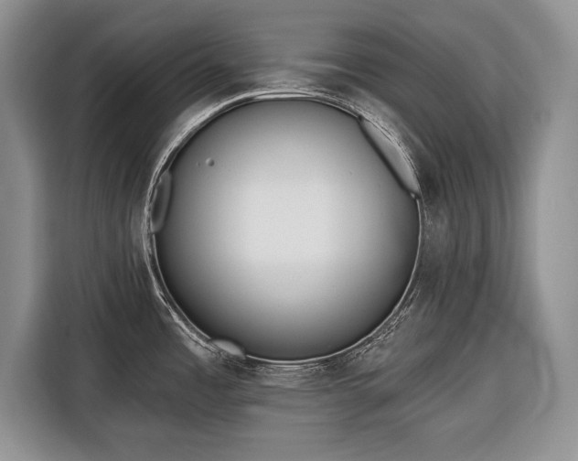 X0000116381485200912091404