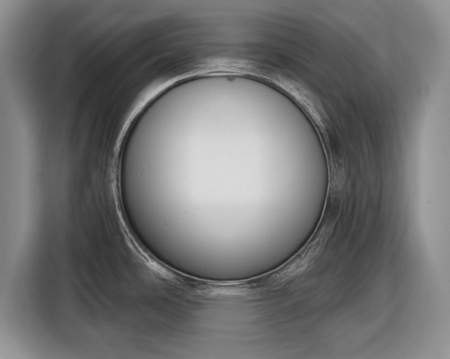 X0000116381486200912091404