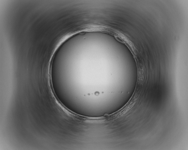 X0000116381487200912091404
