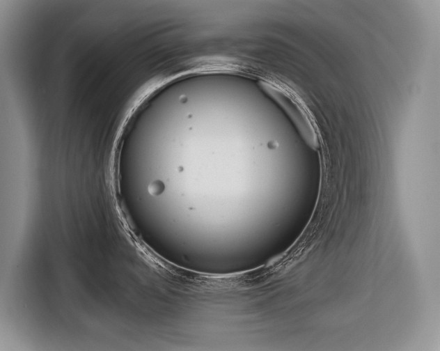 X0000116381488200912091404