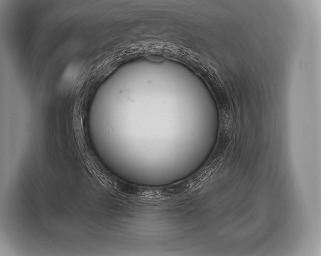 X0000116381489200912091404